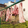 IMG 20200215 092149a