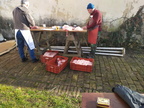 IMG 20200215 094344a