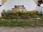 IMG 20230902 103009