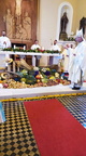Image 2023-09-16(4)